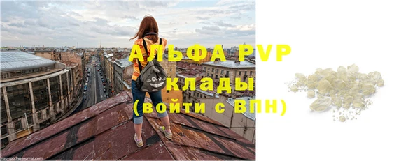 мдпв Ельня