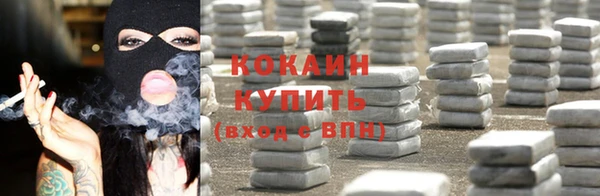 бошки Заводоуковск