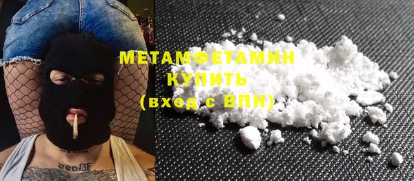 мдпв Ельня