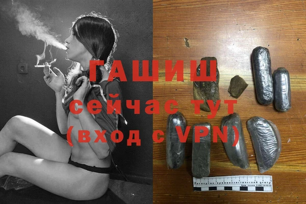 сатива Елизово