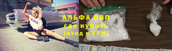 мдпв Ельня