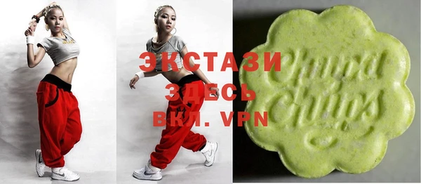 мдпв Ельня