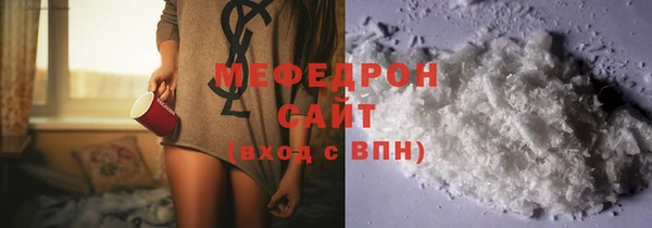 мдпв Ельня