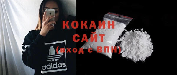 бошки Заводоуковск