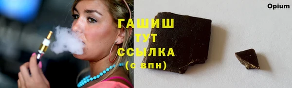 сатива Елизово