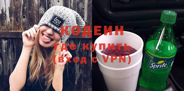 мдпв Ельня