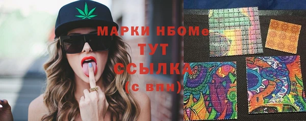 мдпв Ельня