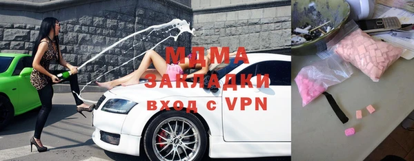 мдпв Ельня
