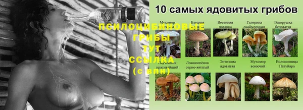 2c-b Елабуга