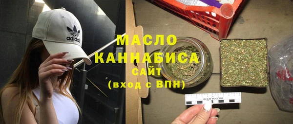 мдпв Ельня