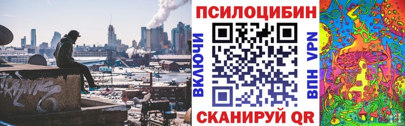 Галлюциногенные грибы Psilocybine cubensis  купить наркотик  Ипатово 